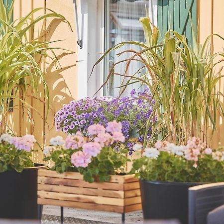 Bjoerkbackens Vandrarhem I Vimmerby Εξωτερικό φωτογραφία